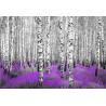 FOREST PURPLE