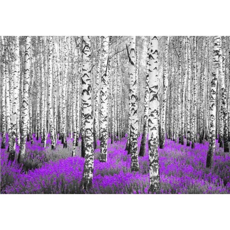 FOREST PURPLE