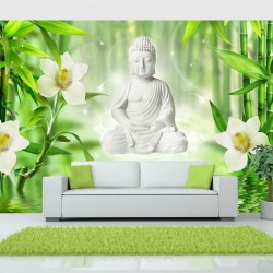 Buda y Naturaleza Zen