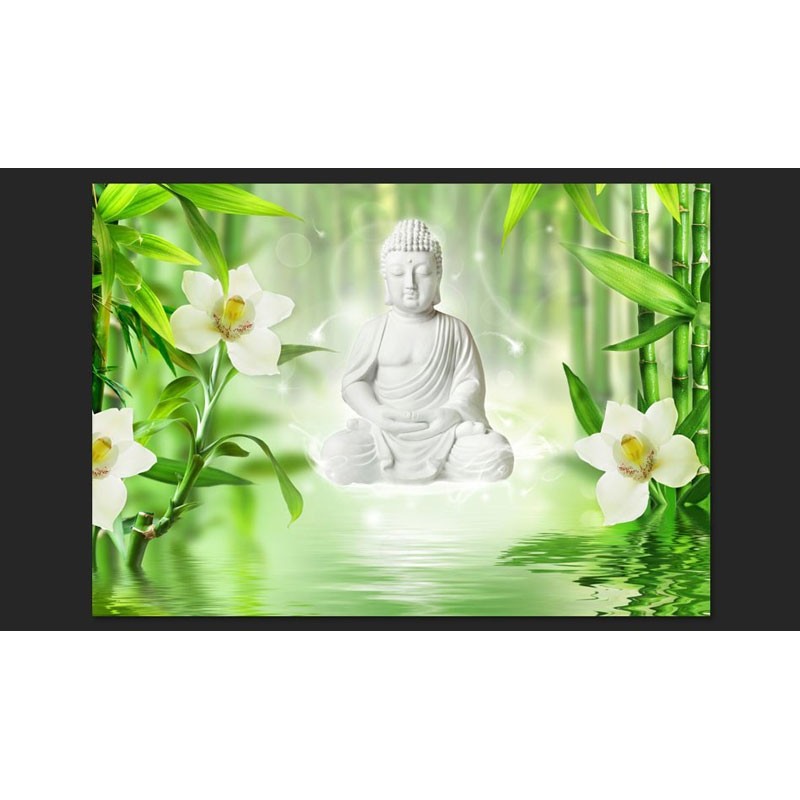 Buda y Naturaleza Zen