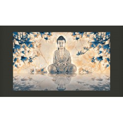 Meditación del Buda