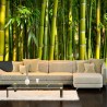 Jardín de Bambú