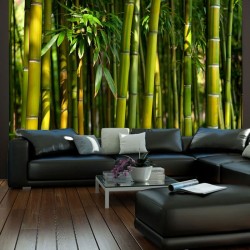 Bosque Asiatico de Bambú