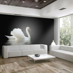Cisne (blanco y negro)