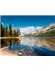 Fotomural  Tenaya Lake  Yosemite National Park
